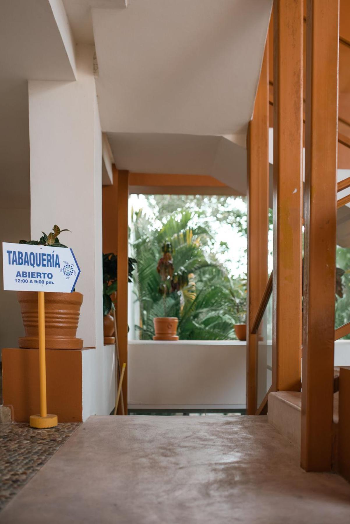Hotel Ixzi Plus Ixtapa  Eksteriør billede